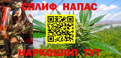 шишки Чебоксары