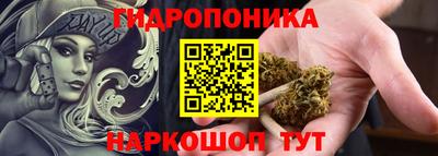 шишки Чебоксары