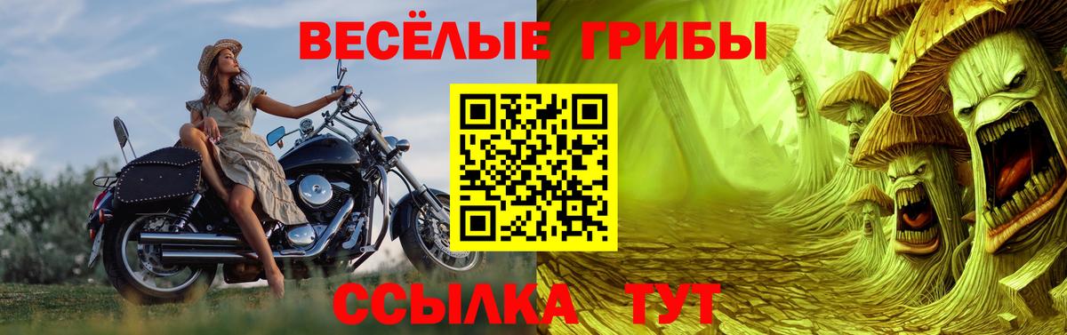 Галлюциногенные грибы Psilocybe  Вход с VPN  купить наркотик  Псилоцибиновые грибы MAGIC MUSHROOMS  Вятские Поляны 